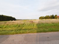Działka Sprzedaż - świętokrzyskie, kielecki, Miedziana Góra, Przyjmo