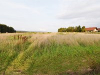Działka Sprzedaż - świętokrzyskie, kielecki, Miedziana Góra, Przyjmo