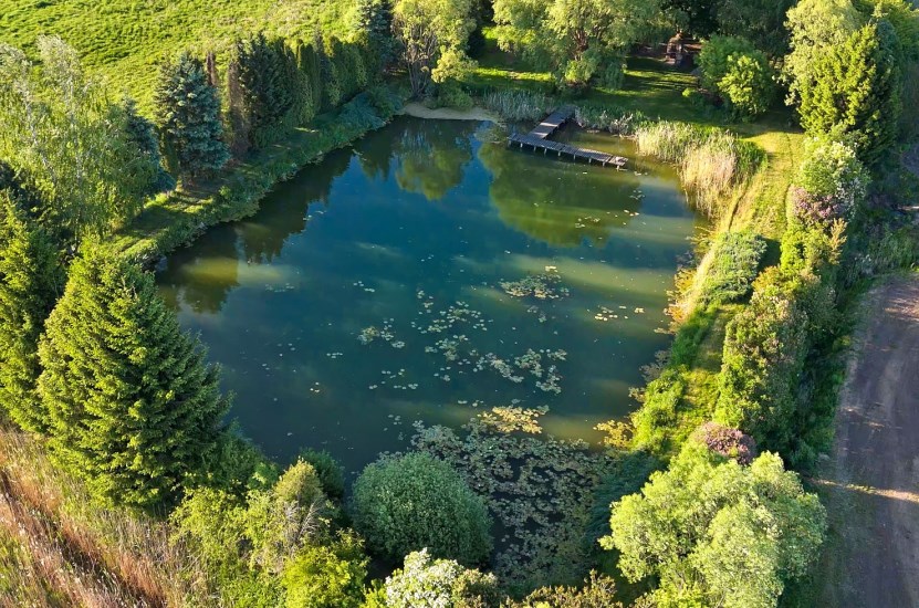 Dom Sprzedaż - świętokrzyskie, kielecki, Morawica, Brzeziny