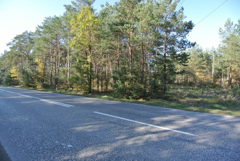 Działka Sprzedaż - świętokrzyskie, kielecki, Morawica, Brzeziny