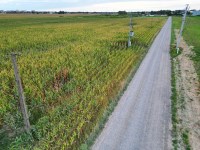 Działka Sprzedaż - mazowieckie, warszawski zachodni, Ożarów Mazowiecki (gw), Duchnice