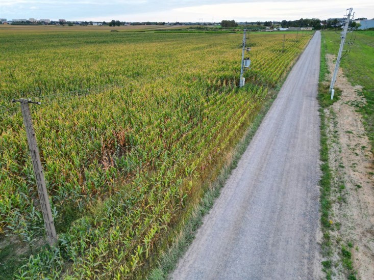 Działka Sprzedaż - mazowieckie, warszawski zachodni, Ożarów Mazowiecki (gw), Duchnice
