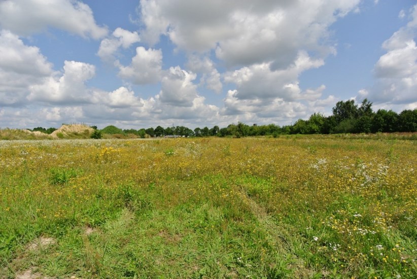 Działka Sprzedaż - mazowieckie, warszawski zachodni, Ożarów Mazowiecki (gw), Płochocin