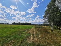 Działka Sprzedaż - świętokrzyskie, kielecki, Pierzchnica, Holendry