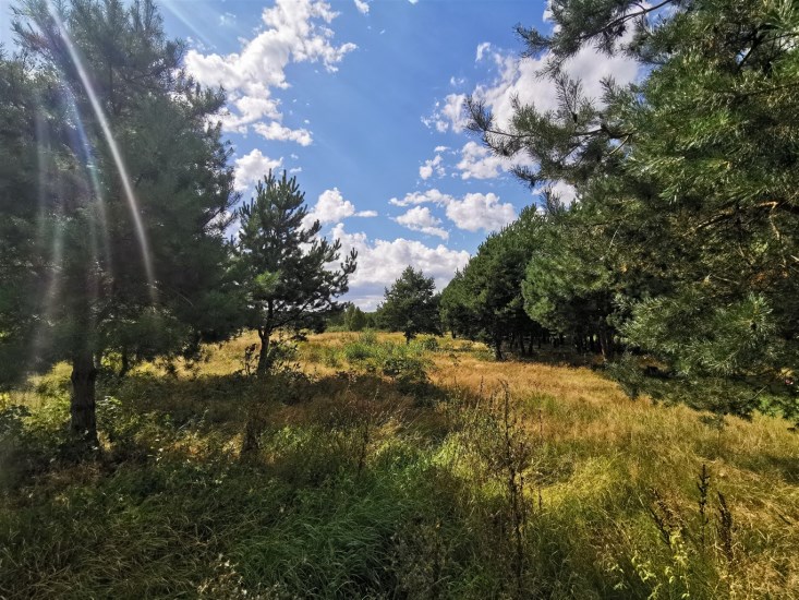 Działka Sprzedaż - świętokrzyskie, kielecki, Pierzchnica, Holendry