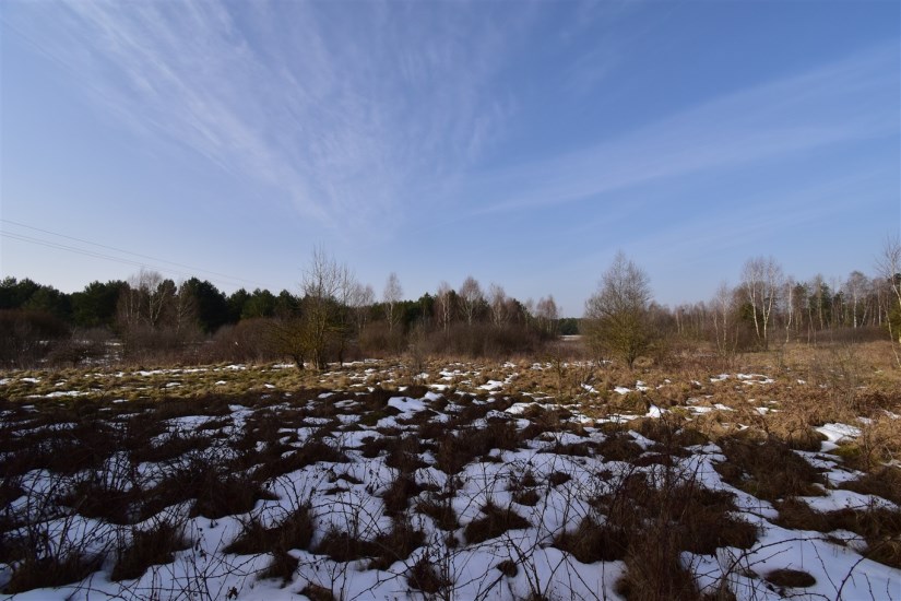 Działka Sprzedaż - świętokrzyskie, kielecki, Piekoszów, Rykoszyn