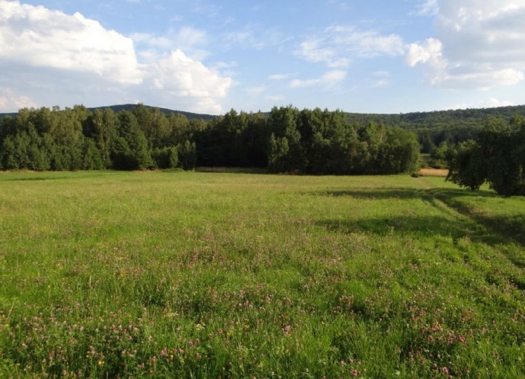 Działka Sprzedaż - świętokrzyskie, skarżyski, Łączna, Zagórze