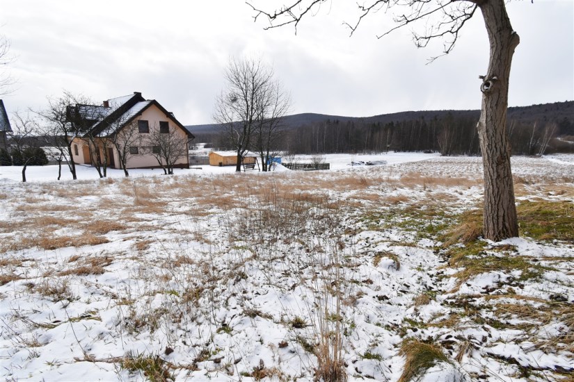 Działka Sprzedaż - świętokrzyskie, skarżyski, Łączna, Zagórze