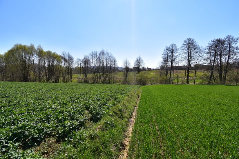 Działka Sprzedaż - świętokrzyskie, kielecki, Nowa Słupia, Stara Słupia