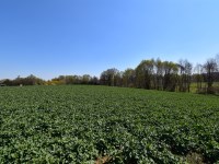 Działka Sprzedaż - świętokrzyskie, kielecki, Nowa Słupia, Stara Słupia