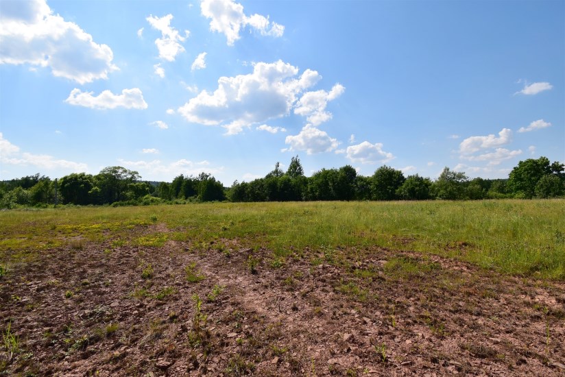 Działka Sprzedaż - świętokrzyskie, skarżyski, Łączna, Zalezianka