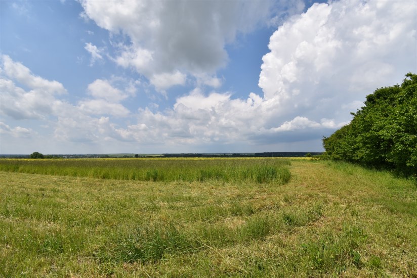 Dom Sprzedaż - świętokrzyskie, jędrzejowski, Sędziszów, Boleścice