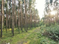 Działka Sprzedaż - mazowieckie, grodziski, Grodzisk Mazowiecki (gw), Mościska