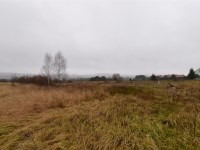 Działka Sprzedaż - świętokrzyskie, kielecki, Bodzentyn, Wilków