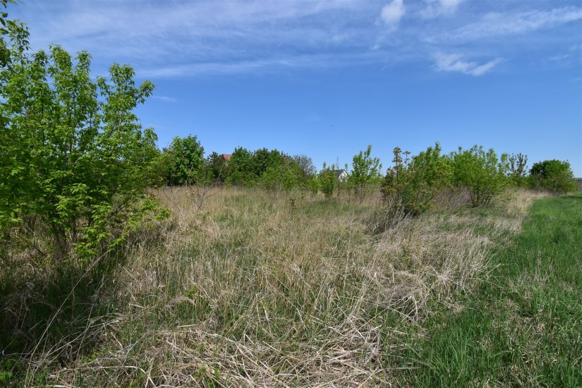 Działka Sprzedaż - świętokrzyskie, kielecki, Piekoszów