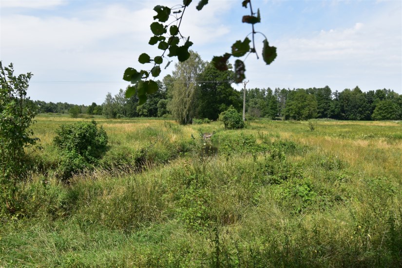 Dom Sprzedaż - świętokrzyskie, kielecki, Daleszyce, Smyków