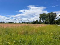 Działka Sprzedaż - świętokrzyskie, pińczowski, Kije, Wola Żydowska