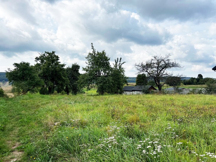 Działka Sprzedaż - świętokrzyskie, kielecki, Bodzentyn, Wiącka