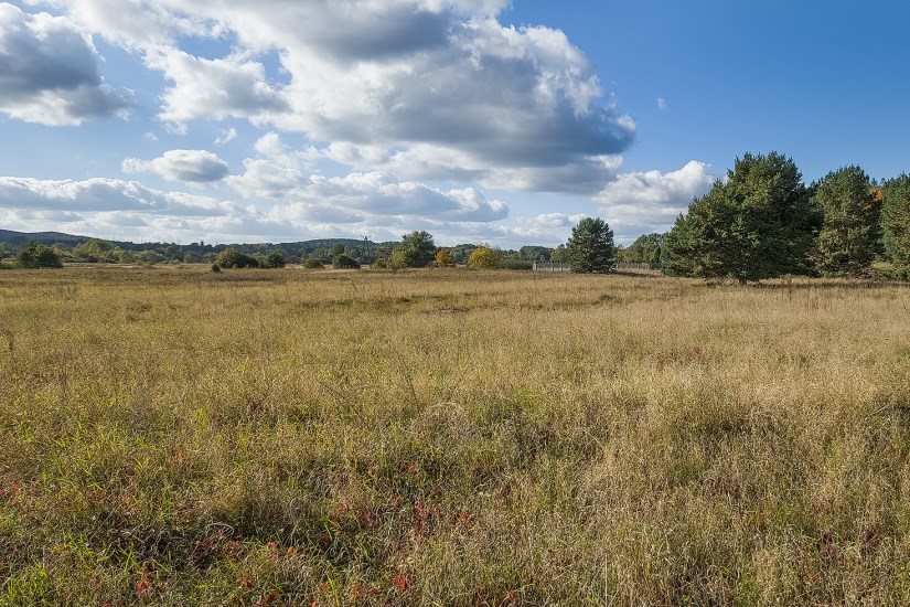 Działka Sprzedaż - świętokrzyskie, Kielce m., Kielce, Białogon