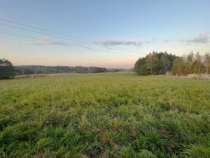 Działka Sprzedaż - świętokrzyskie, kielecki, Chęciny, Wolica