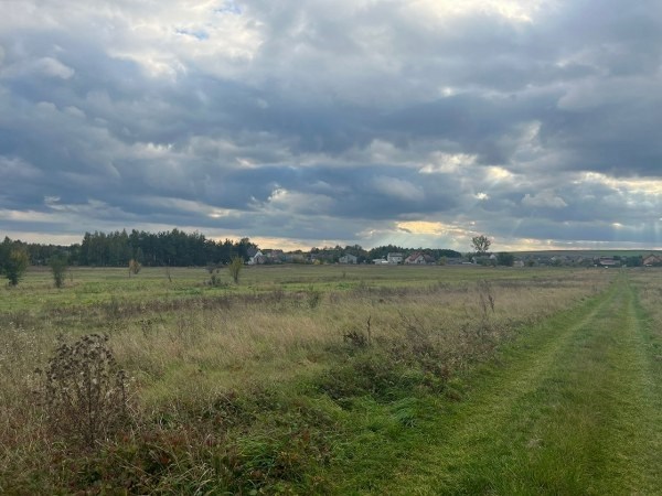 Działka Sprzedaż - świętokrzyskie, jędrzejowski, Sobków, Sokołów Dolny