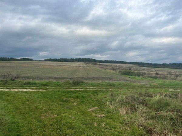 Działka Sprzedaż - świętokrzyskie, jędrzejowski, Sobków, Sokołów Dolny