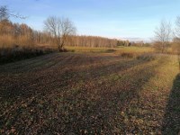 Działka Sprzedaż - świętokrzyskie, kielecki, Piekoszów, Jaworznia