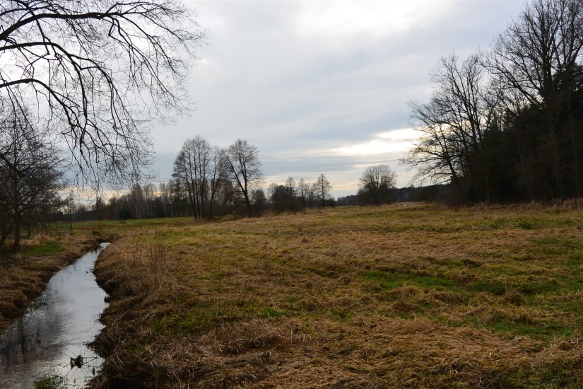 Działka Sprzedaż - świętokrzyskie, kielecki, Łopuszno, Ewelinów