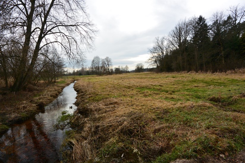 Działka Sprzedaż - świętokrzyskie, kielecki, Łopuszno, Ewelinów