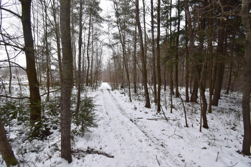 Działka Sprzedaż - świętokrzyskie, kielecki, Mniów