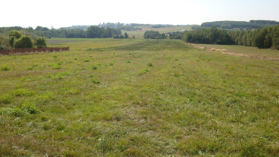 Działka Sprzedaż - świętokrzyskie, kielecki, Raków, Koziel