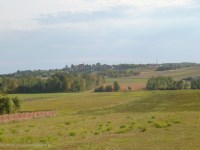 Działka Sprzedaż - świętokrzyskie, kielecki, Raków, Koziel