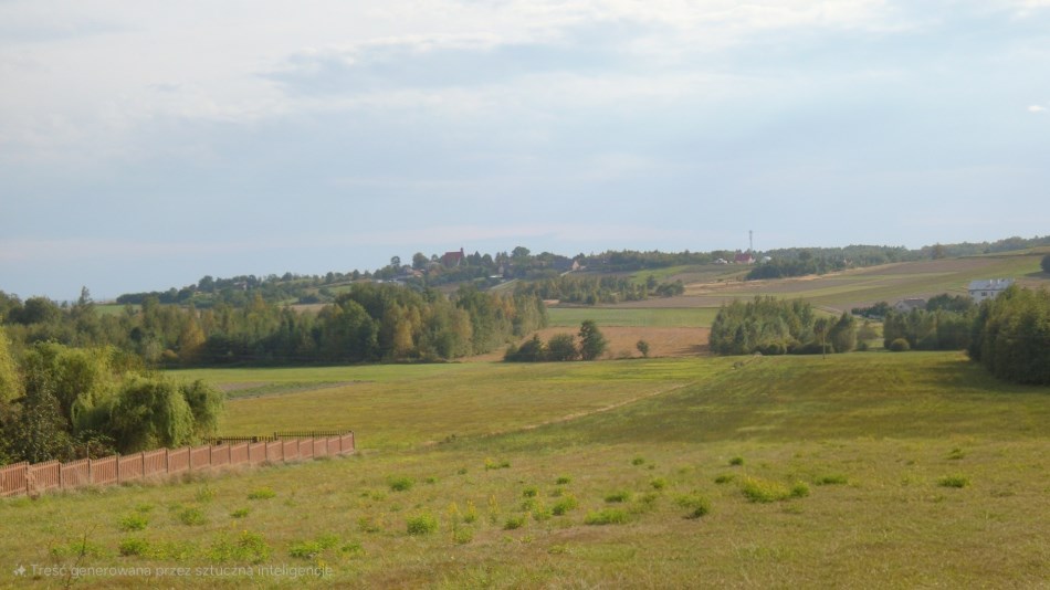 Działka Sprzedaż - świętokrzyskie, kielecki, Raków, Koziel