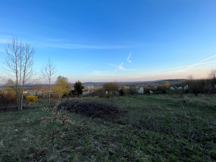 Działka Sprzedaż - świętokrzyskie, kielecki, Masłów, Masłów Pierwszy