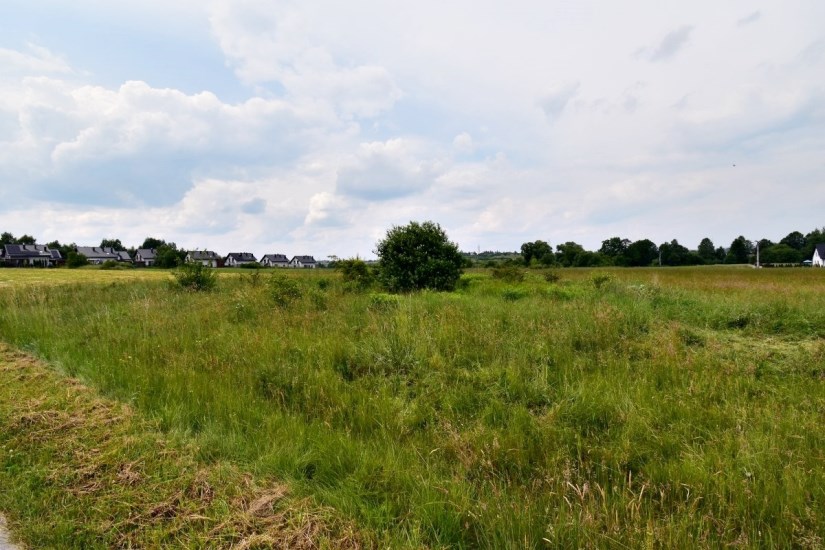 Działka Sprzedaż - świętokrzyskie, kielecki, Daleszyce, Mójcza