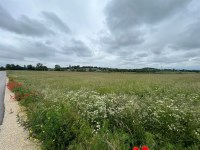Działka Sprzedaż - świętokrzyskie, kielecki, Morawica, Brzeziny