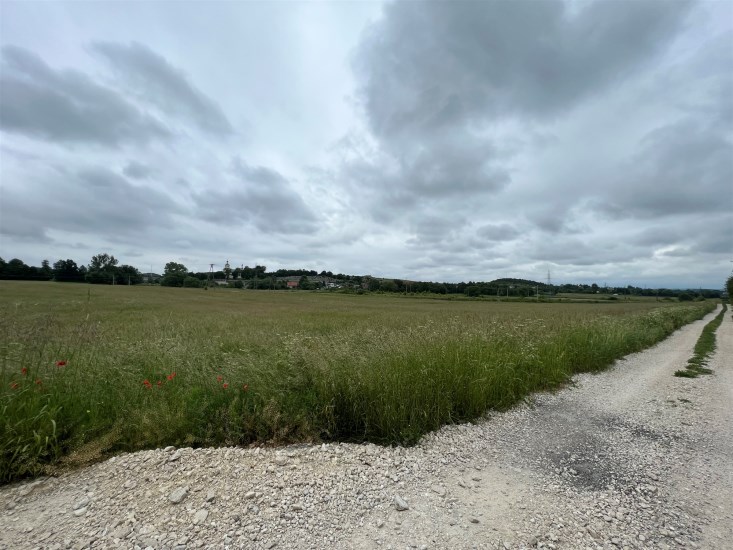 Działka Sprzedaż - świętokrzyskie, kielecki, Morawica, Brzeziny