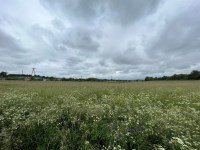 Działka Sprzedaż - świętokrzyskie, kielecki, Morawica, Brzeziny