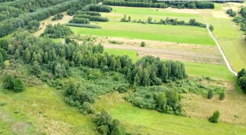 Działka Sprzedaż - świętokrzyskie, kielecki, Łopuszno, Snochowice