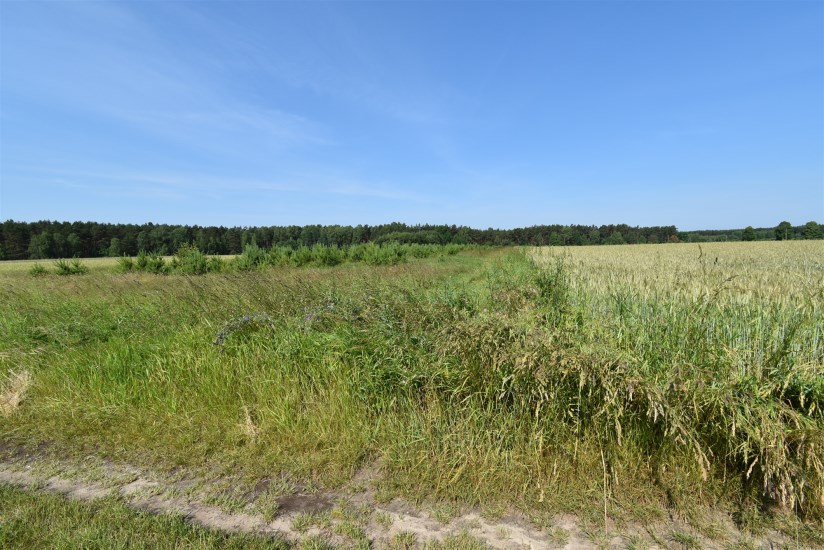 Działka Sprzedaż - świętokrzyskie, konecki, Słupia (Konecka), Mnin