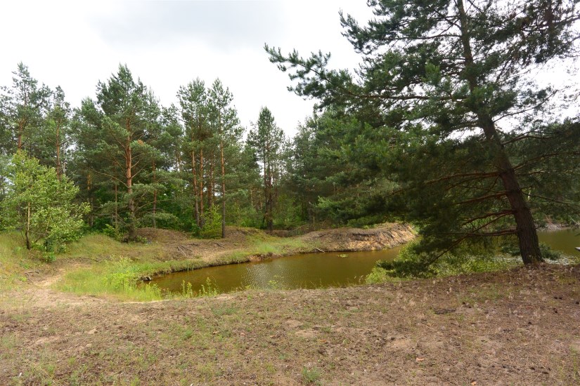 Działka Sprzedaż - świętokrzyskie, skarżyski, Skarżysko-Kamienna