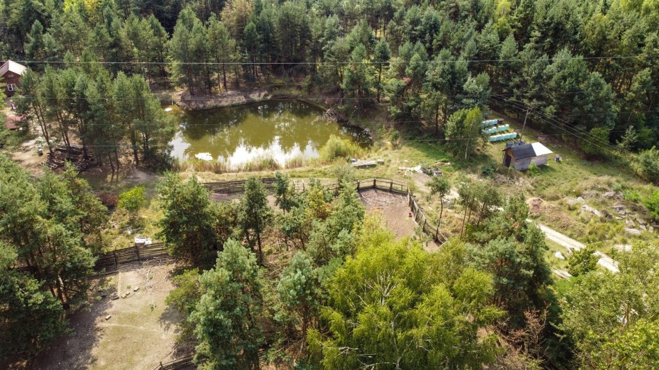 Działka Sprzedaż - świętokrzyskie, skarżyski, Skarżysko-Kamienna