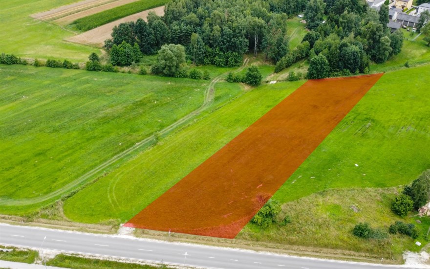 Działka Sprzedaż - świętokrzyskie, kielecki, Łopuszno, Sarbice Pierwsze