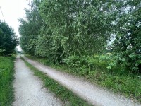 Działka Sprzedaż - świętokrzyskie, kielecki, Morawica, Kuby-Młyny
