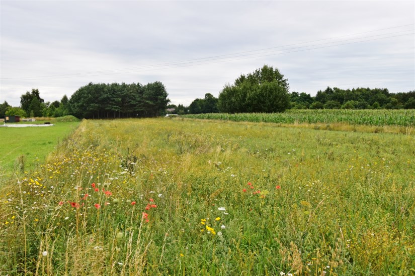 Działka Sprzedaż - świętokrzyskie, jędrzejowski, Jędrzejów, Wolica