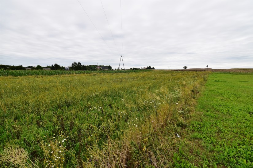 Działka Sprzedaż - świętokrzyskie, jędrzejowski, Jędrzejów, Wolica