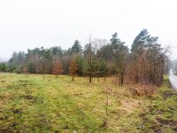 Działka Sprzedaż - świętokrzyskie, skarżyski, Bliżyn, Górki