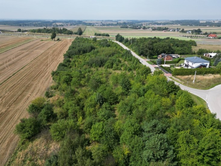 Działka Sprzedaż - świętokrzyskie, jędrzejowski, Jędrzejów, Potok Mały