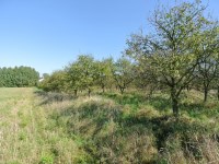 Działka Sprzedaż - świętokrzyskie, buski, Busko-Zdrój, Widuchowa