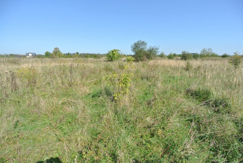 Działka Sprzedaż - świętokrzyskie, buski, Busko-Zdrój, Siesławice